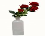 Craftfry Rounded Rectangular Bottle Shape Flower Glass Vase