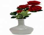 Craftfry Luxury With Handi Flask Flower Glass Vase (6.7 inch, White)