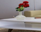 Craftfry Luxury With Handi Flask Flower Glass Vase (6.7 inch, White)
