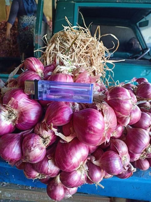 Onion/Shallot