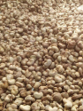 Cashew Nuts
