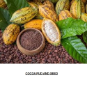 Cocoa and Other Agro Products