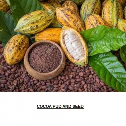 Cocoa and Other Agro Products