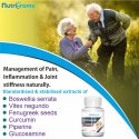 Nutrigrams Orthoquik- Anti-Inflammatory Joint Support Supplement