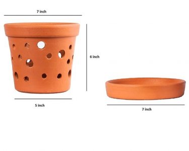 Terracotta Orchid Planters