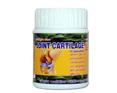 Joint Cartilage Capsule