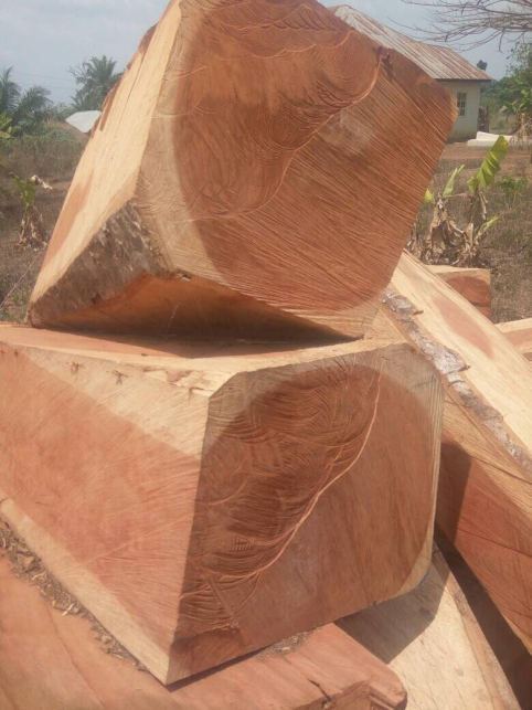 Doussie Wood Logs(Afzelia)