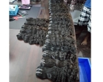 Indian Curly Raw Hair