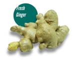 Fresh Ginger