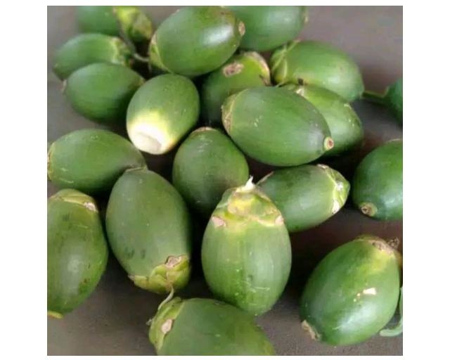 Betel Nut