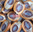 Betel Nut