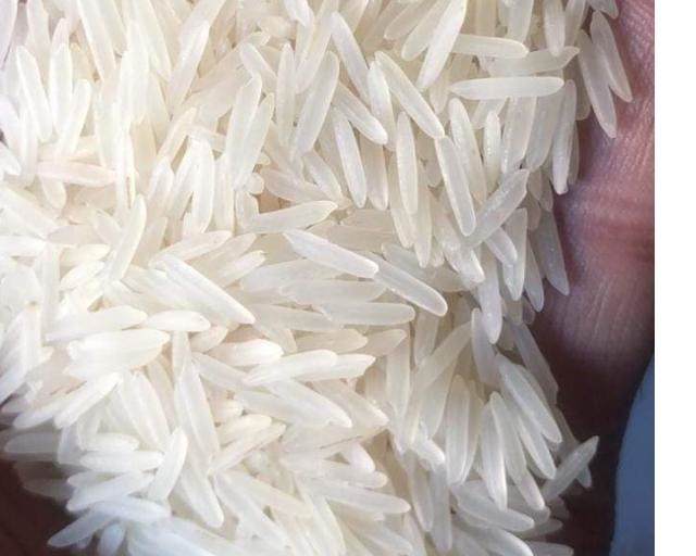 Basmati rice