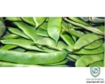 Broad Beans (Val Papadi)
