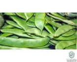 Broad Beans (Val Papadi)