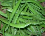 Cluster Beans (Gawar)