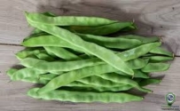 Flat Green Beans (Papadi)