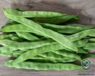 Flat Green Beans (Papadi)
