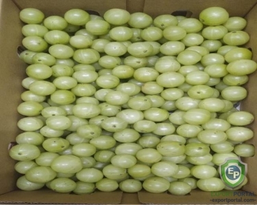 Indian gooseberry (Amla)