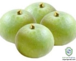 Indian Round Gourd (Tinda)