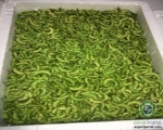 Pigeon Peas (Tuvar)