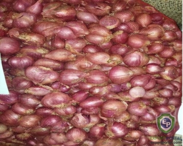 Shallot Onion