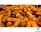 Yellow Turmeric