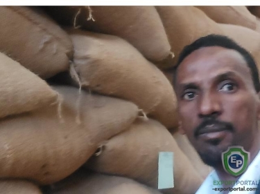 Ethiopian Green Beans Coffee