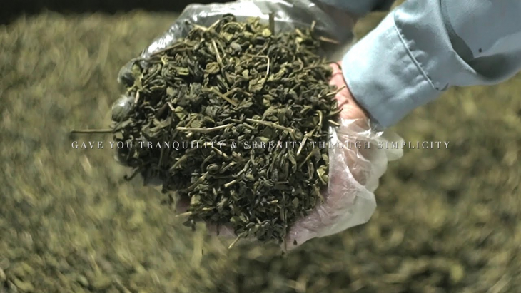 Green Tea Bulk