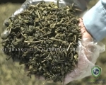 Green Tea Bulk