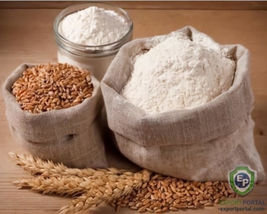 Whole Wheat Flour