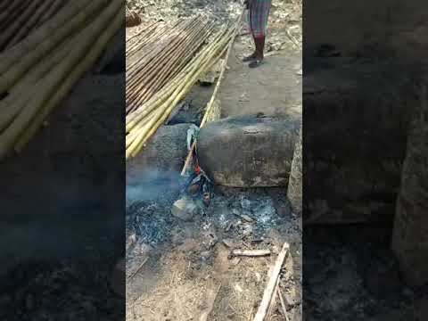 Kanakaich / Oliveri / Calcutta Bamboo