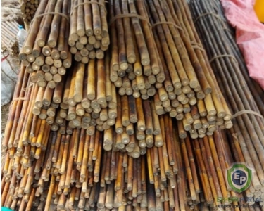 Kanakaich / Oliveri / Calcutta Bamboo