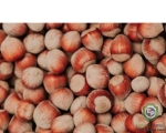 Hazelnuts