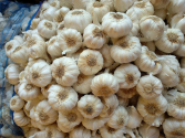Fresh garlic
