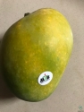 Gopalvogh Mango