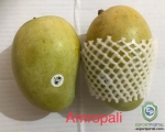 Amropali Mango