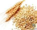 Milling Wheat