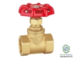Globe valve