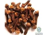 Cloves