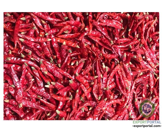 TEJA RED CHILLI