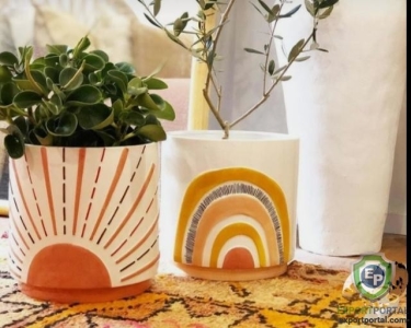 Clay Succulent Planter Manufacturer