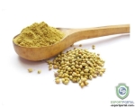 CORIANDER POWDER