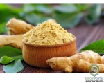 Ginger Powder