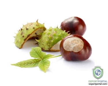 Horsechestnut Ext 40%