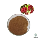 Natural Schisandre Extract 100%
