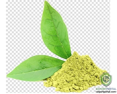 Green Tea 95% Polyphenols