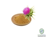 Organic Milk Thistle Extract Powder