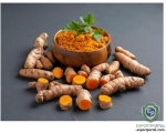 Turmeric Curcumin Extract 50%