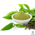 Green Tea Extract