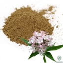 Natural Valerian Extract